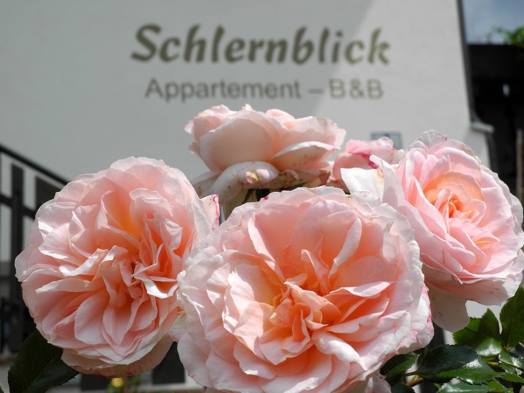 Apartment Haus Schlernblick *